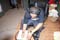 DSCF0725